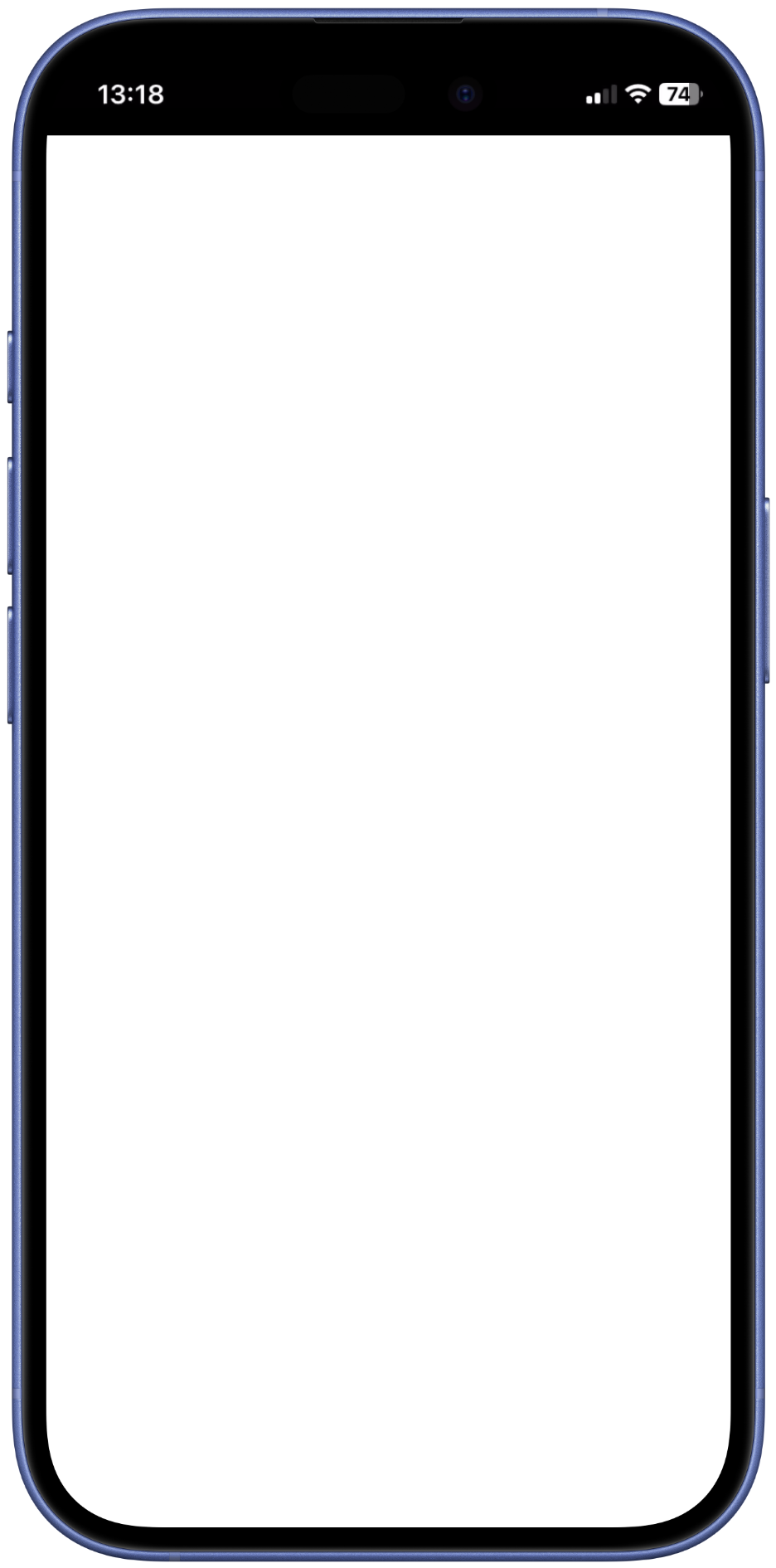 Phone Bezel